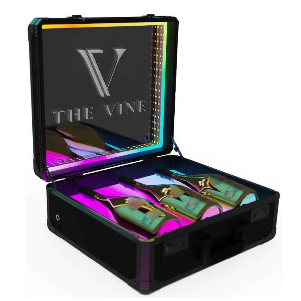 Custom Light Up Briefcase