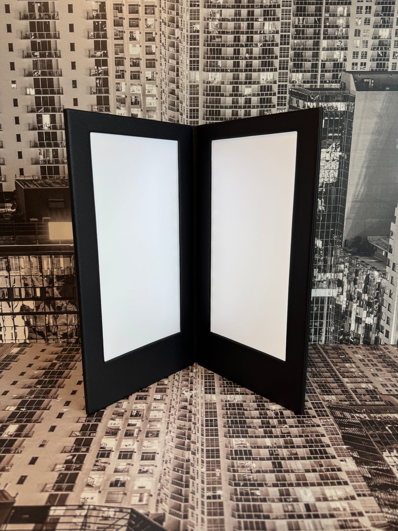 LED Back-Lit Menu Books