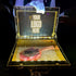 The "Beefcase" - Custom Illuminated Gold Mirror Chrome Briefcase for VIP Food Steak & Sushi Service